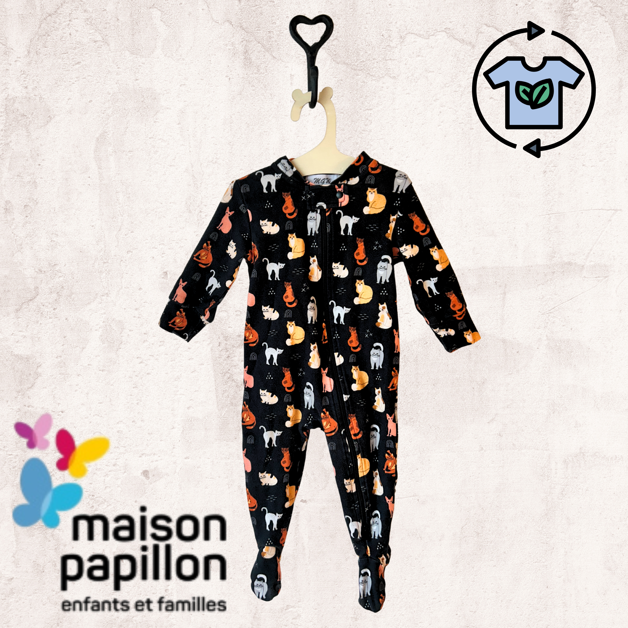 Seconde-main - Maison Papillon de l'Outaouais - Chats 3-6 mois